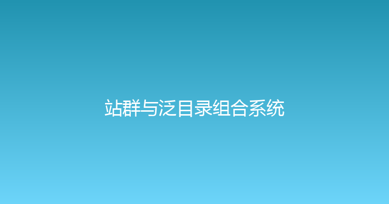 站群与泛目录组合系统 封面图