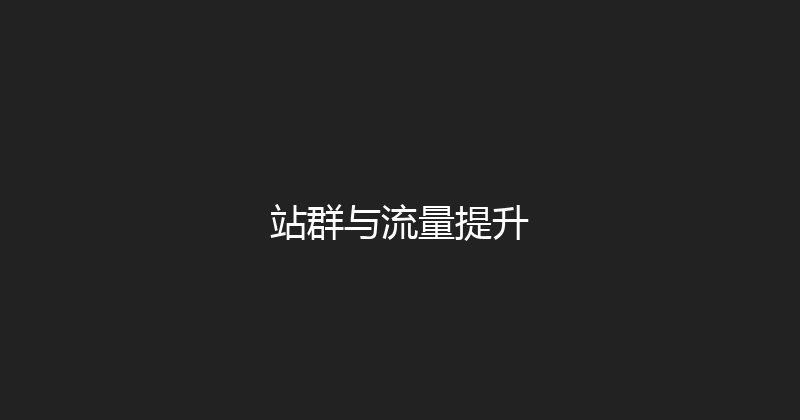 站群与流量提升 封面图