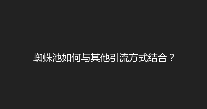 蜘蛛池如何与其他引流方式结合？ 封面图